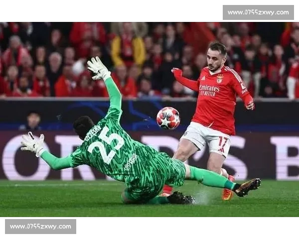 帕夫利季斯戴帽 + 三点球!本菲卡 5-0 横扫阿罗卡 帕夫利季斯戴帽 + 三点球!本菲卡 5-0 横扫阿罗卡