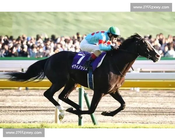 去年今日,32.5 秒定江山!Do Deuce 卫冕秋季天皇赏 去年今日,32.5 秒定江山!Do Deuce 卫冕秋季天皇赏